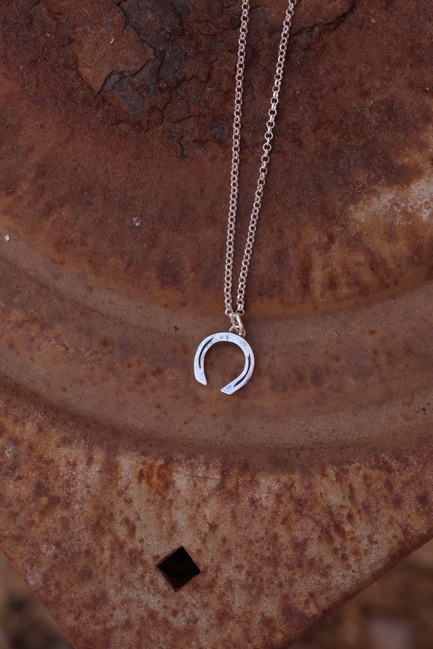 Horseshoe Charm Necklace