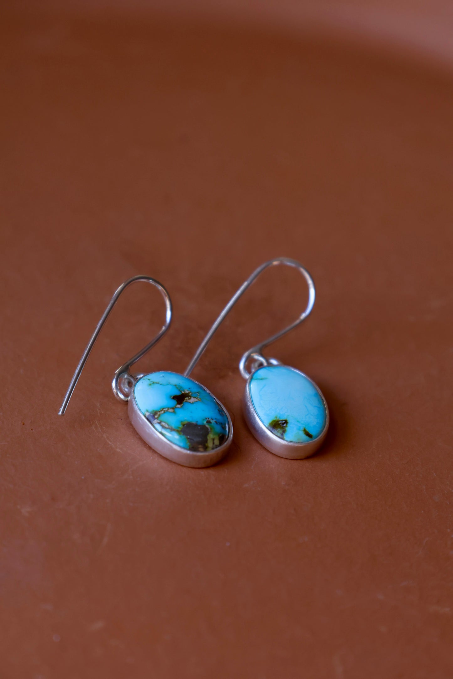 Patagonia Turquoise Oval Dangly Earrings