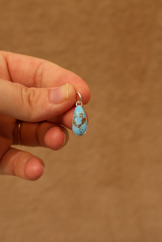 Patagonia Turquoise Charm/Pendant