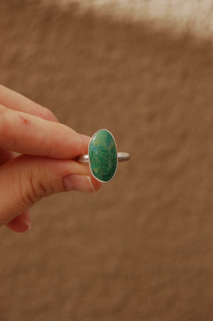 Kingman Turquoise Ring - size 8