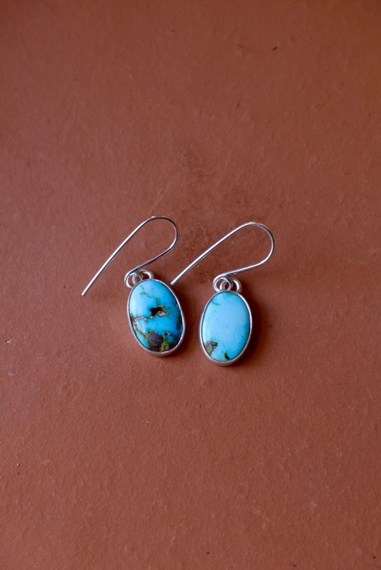 Patagonia Turquoise Oval Dangly Earrings